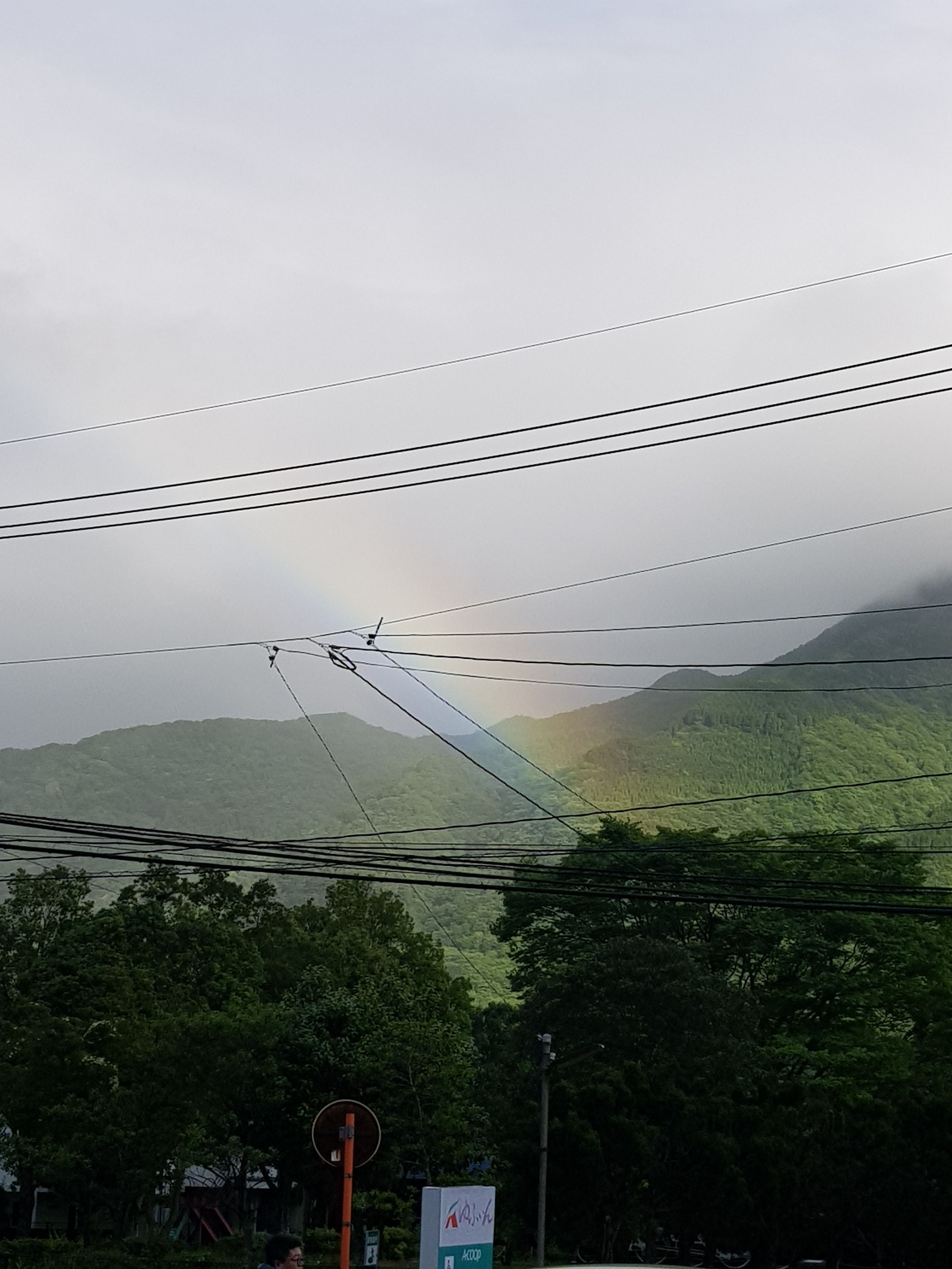 20180522_172507.jpg
